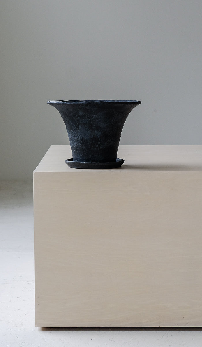 Dina No Planter No. 3