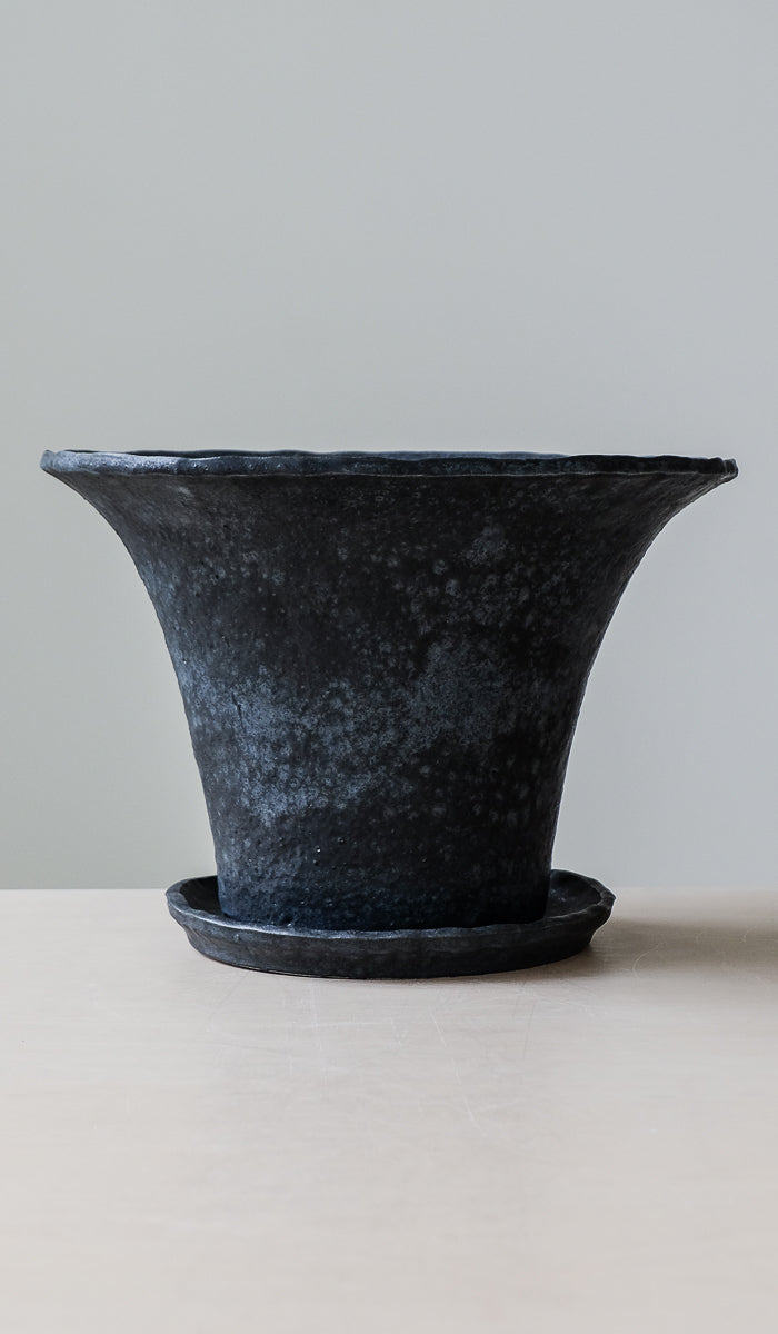 Dina No Planter No. 3