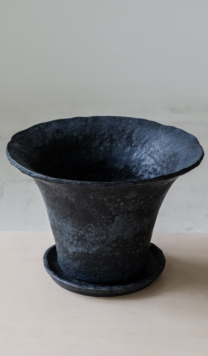 Dina No Planter No. 3