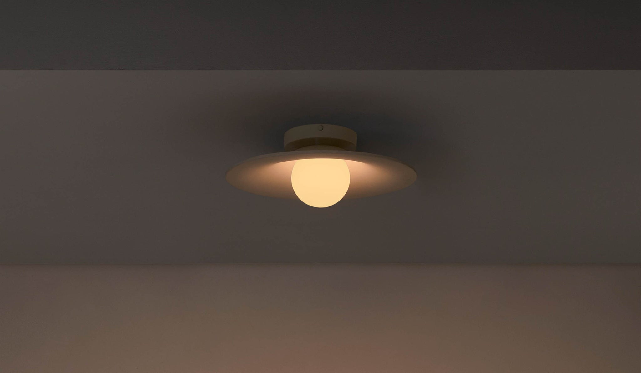 In Common With Ceramic Shade Orb Surface Mount