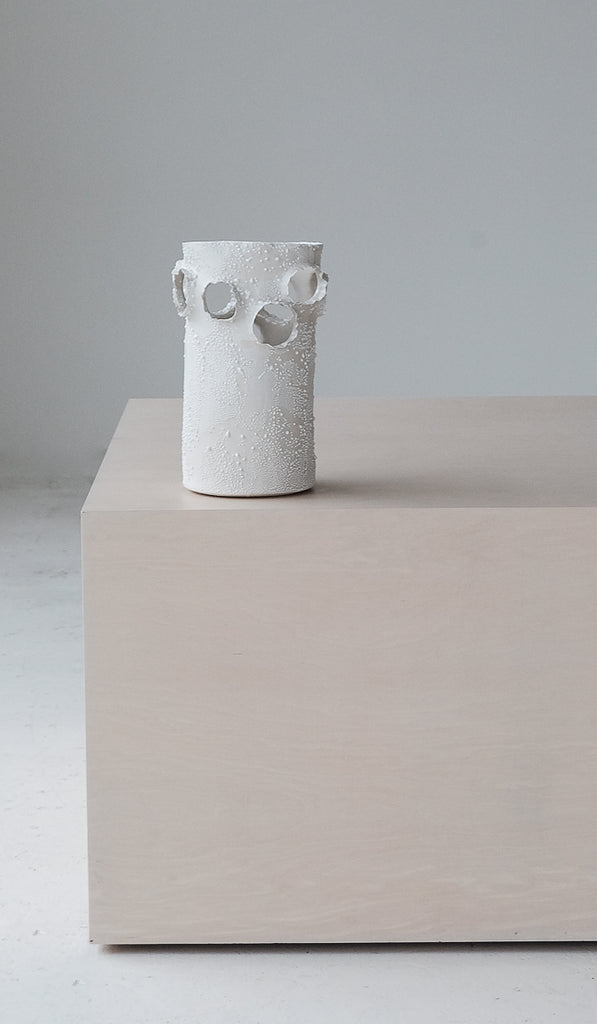 Nathalee Paolinelli  Roosting Vessel No. 1