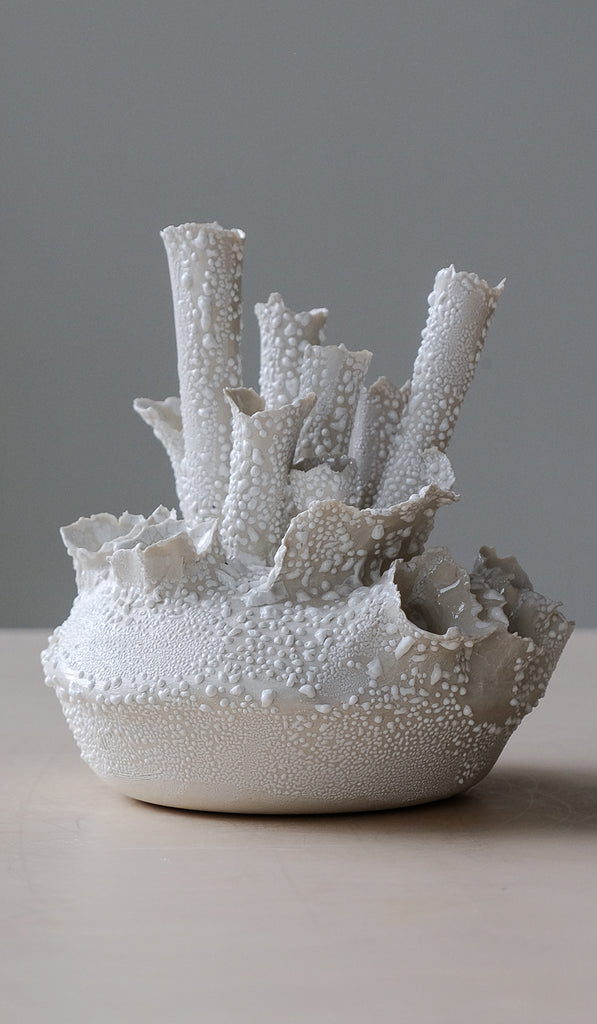 Nathalee Paolinelli Coral Composition Vessel