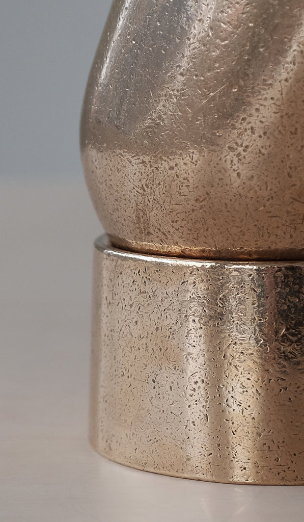 Studio Henry Wilson Polished Cast Bronze Spot Light