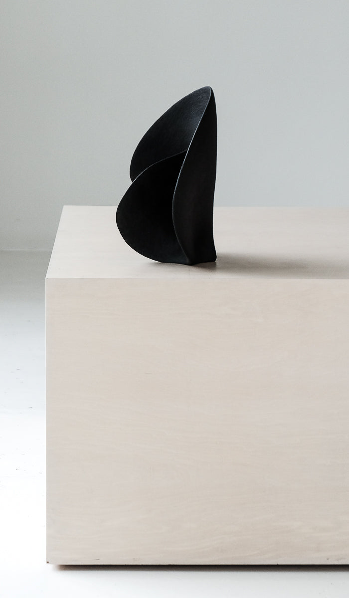 Tara Vaughan Thornton Wave Sculpture No. 26