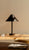 In Common With Eave Table Lamp