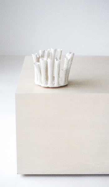 Nathalee Paolinelli Coral Crown Bowl No. 4