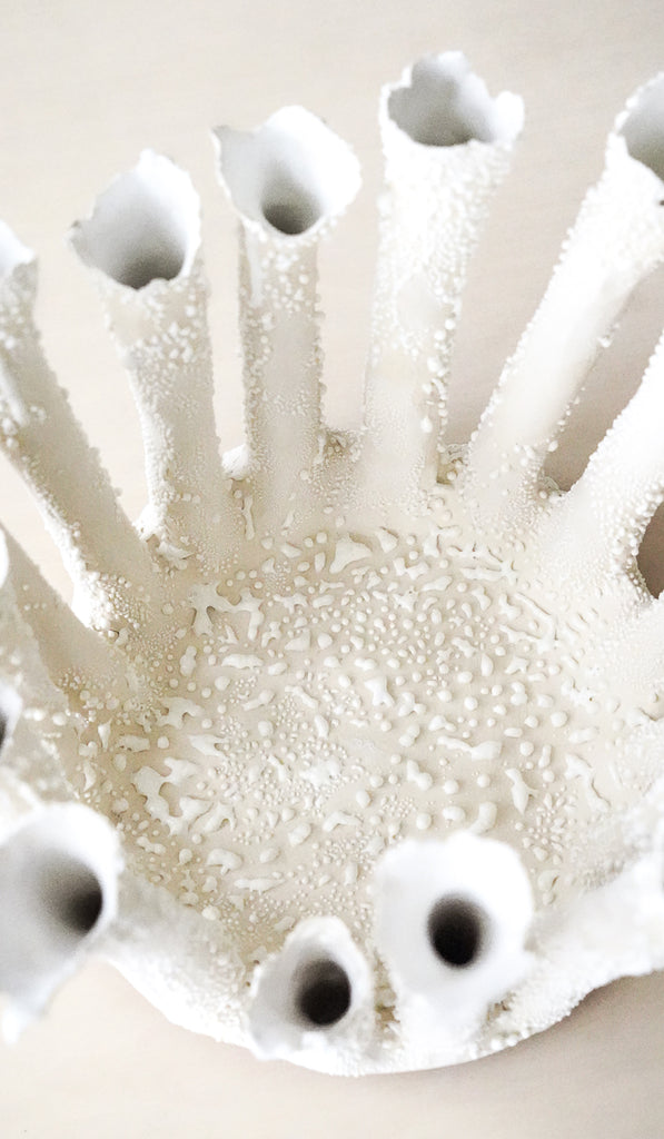 Nathalee Paolinelli Coral Crown Bowl No. 4