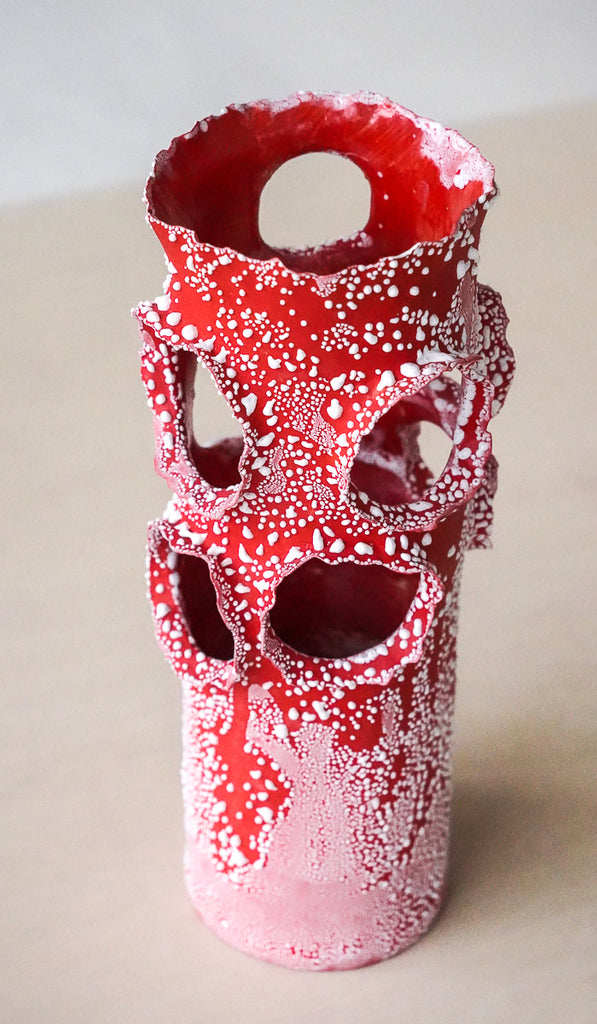 Nathalee Paolinelli Red Roosting Vessel No. 2