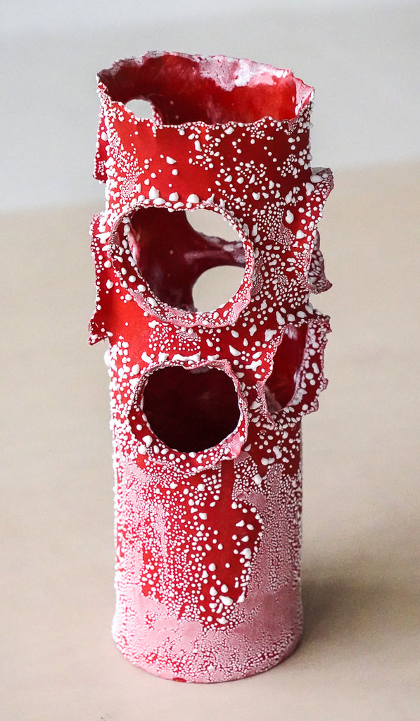 Nathalee Paolinelli Red Roosting Vessel No. 2