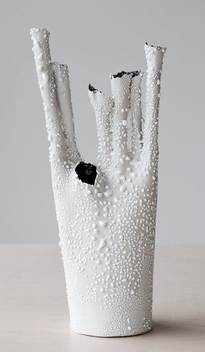 Nathalee Paolinelli Coral Vessel