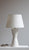 Danny Kaplan 18" Albia Table Lamp